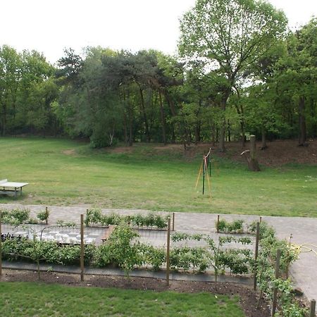Vakantieboerderij 'T Zand - Appartement Heeswijk-Dinther Extérieur photo